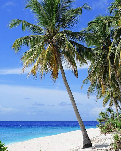 Spiaggia tropicale, immagine rappresentativa del caso studio di un'agenzia viaggi
